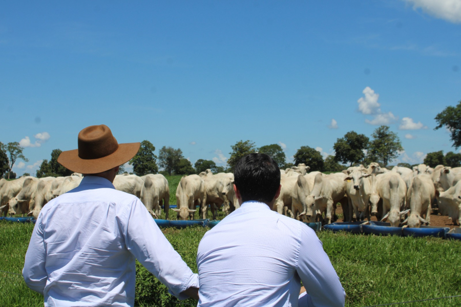  Novo formato do Encorte aposta em expedição para mapear a pecuária