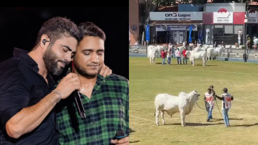 Nelore HEJ conquista mais um título e confirma destaque na Copa Mundial do Zebu