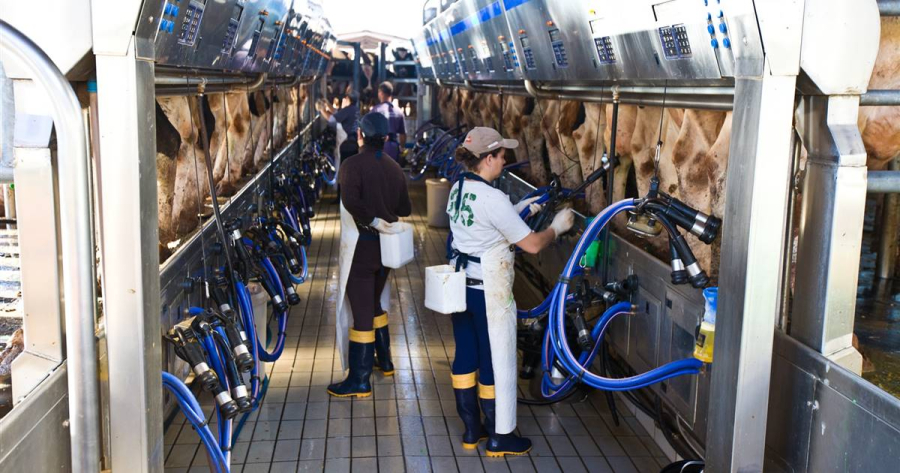 Fim da Escala 6x1 avança na Câmara e o agro cobra regras flexíveis 