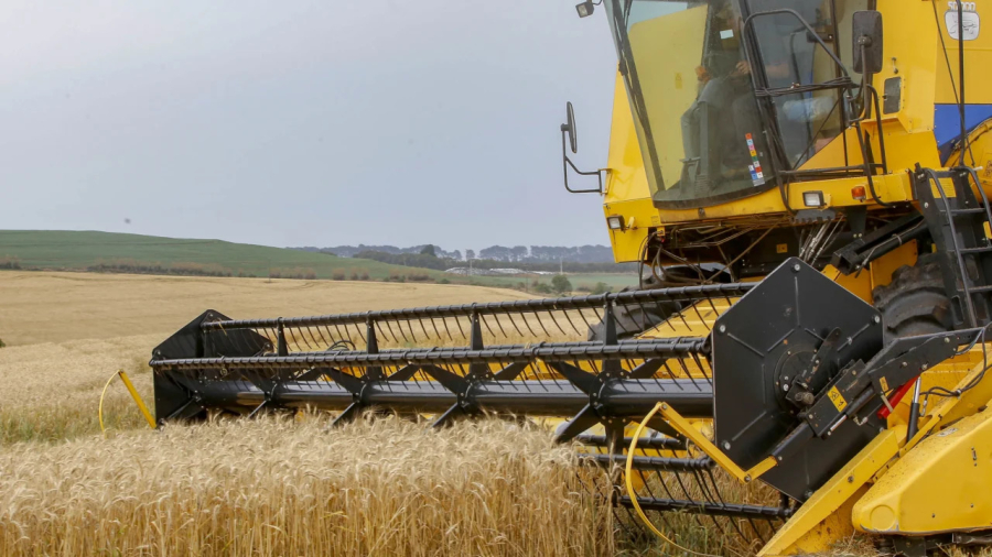 Fim da Escala 6x1 avança na Câmara e o agro cobra regras flexíveis 