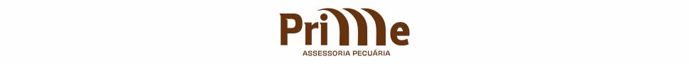 https://www.instagram.com/prime_assessoriapec/