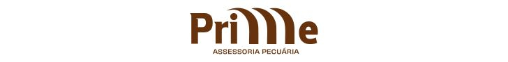 https://www.instagram.com/prime_assessoriapec/