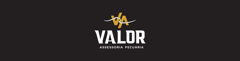 https://www.instagram.com/valorassessoriapecuaria/