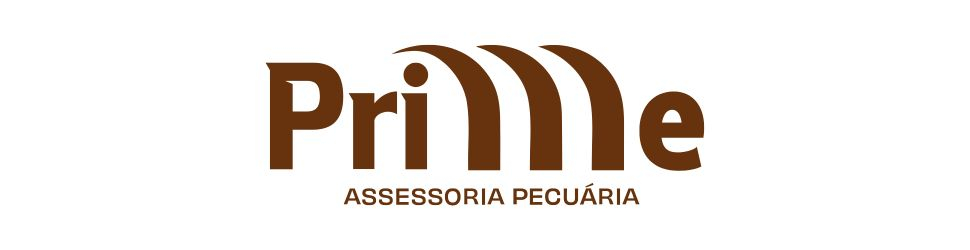 https://www.instagram.com/prime_assessoriapec/