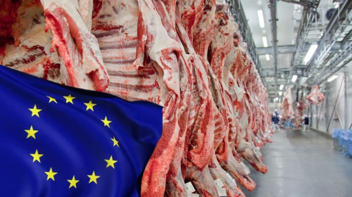 A pecuária europeia nunca conseguirá a eficiência que a pecuária brasileira tem