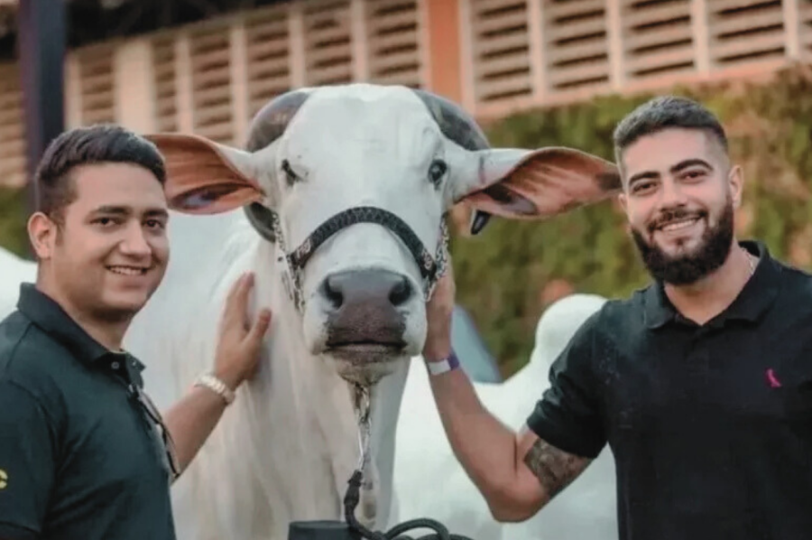 Terra Prometida realiza 5º leilão com foco em genética de elite