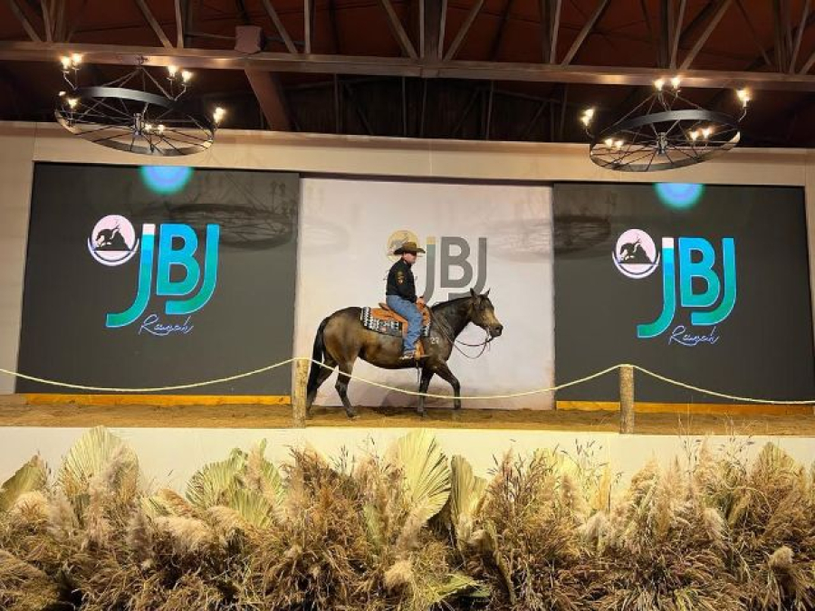 JBJ Ranch eleva leilão de Nazário como evento premium do gro mundial