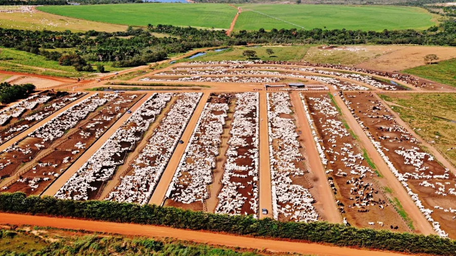  Fazenda Conforto avança em venda para a JBJ e negócio vai ao Cade