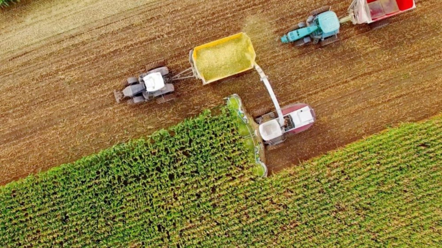  PIB do agronegócio cresce 12,2% e atinge R$ 3,2 trilhões em 2025