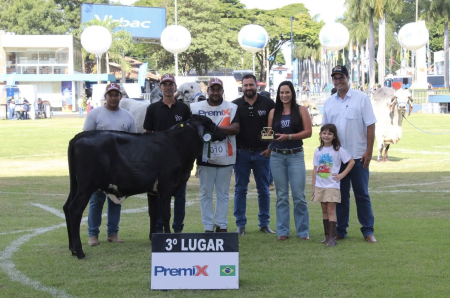 Rancho Boi Bravo na Expozebu conquista pódio e projeta genética girolando