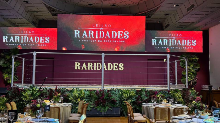 Raridades fecha edição histórica com R$ 99 milhões