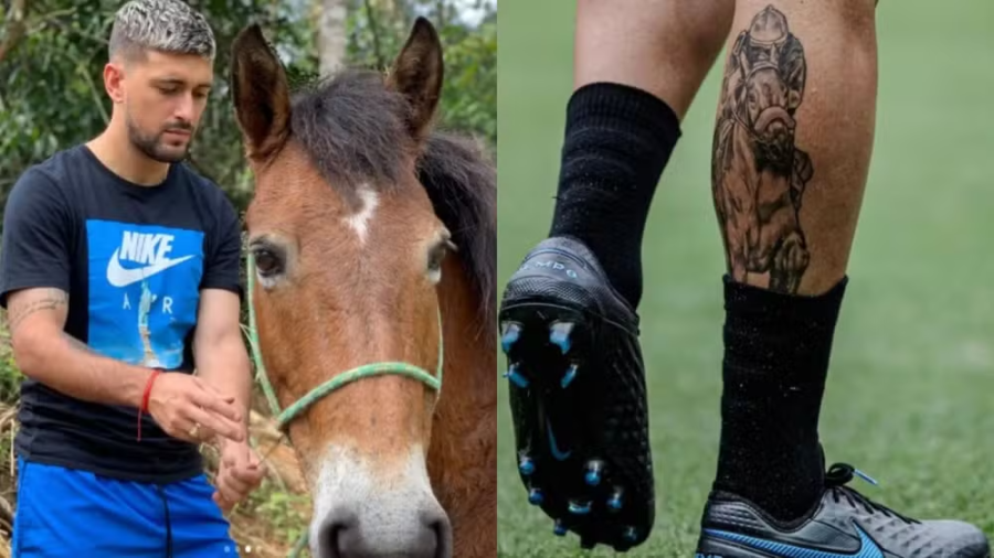 Craques da Copa também apostam no agro