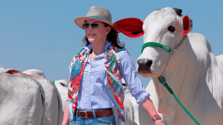 Mônica Marchett aposta na genética como motor da nova era da pecuária
