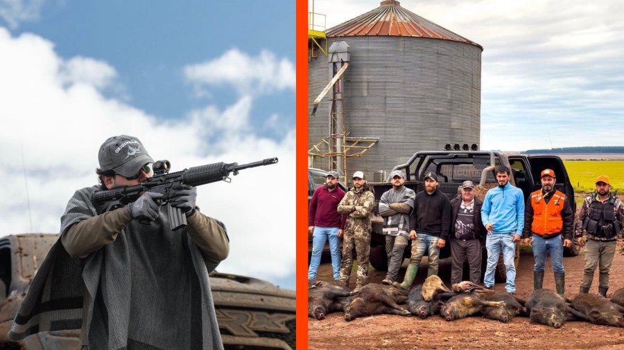 Abate de mais de 150 javalis por influenciador do agro gera polêmica nas redes sociais