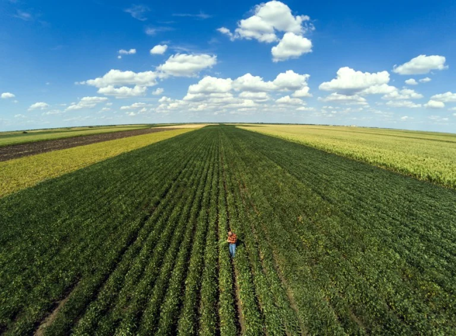 Governo deve anunciar Plano Safra da Agricultura Familiar nesta terça-feira (30)