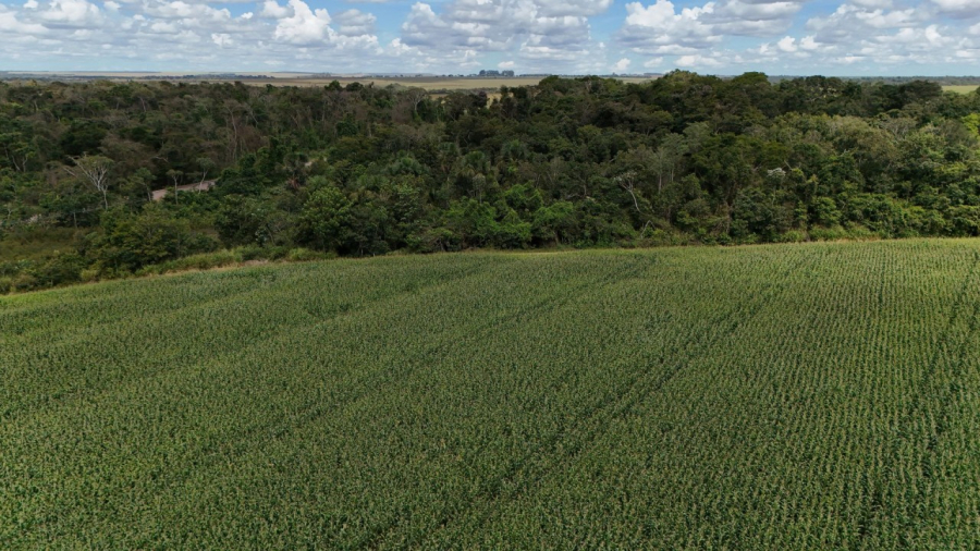 Satélites passam a integrar controle das exportações do agro